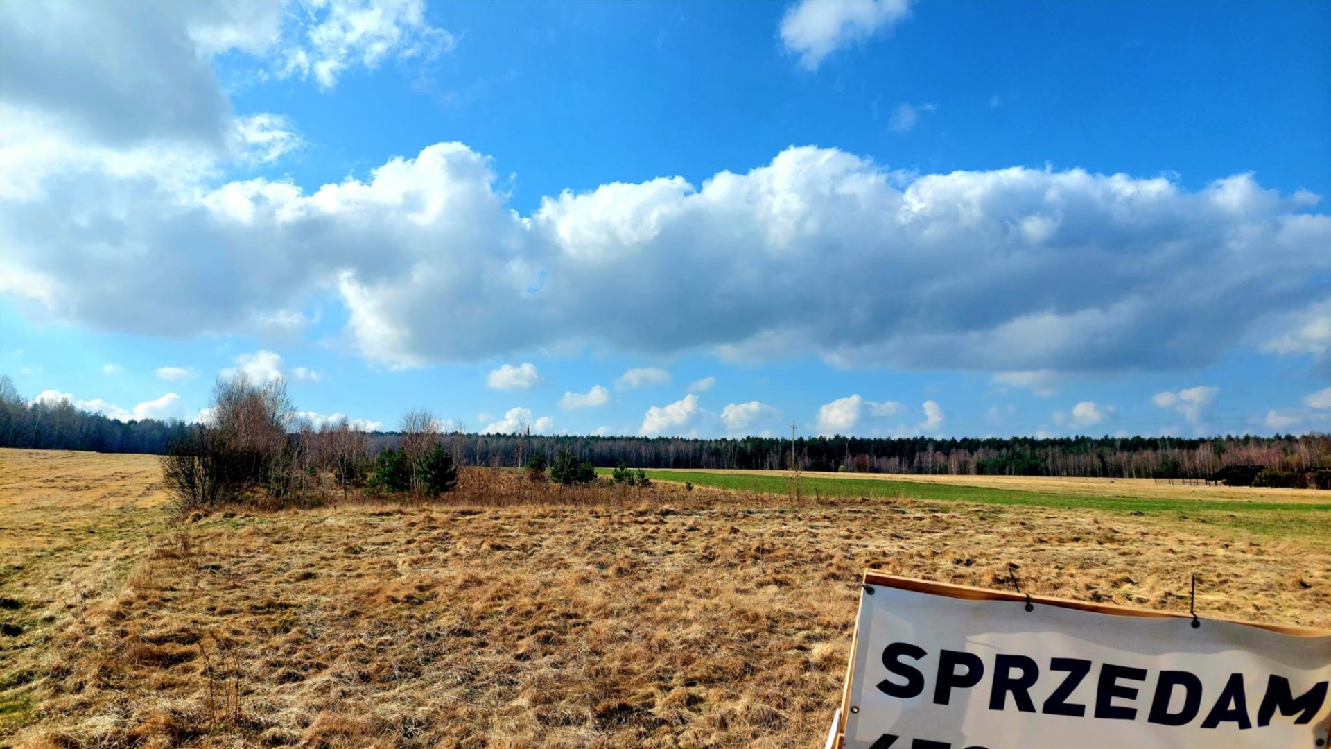 Działka na sprzedaż